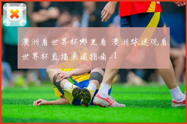 澳洲看世界杯哪里看 澳洲球迷观看世界杯直播渠道指南_1